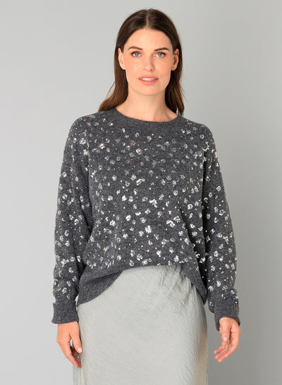Braelyn Sequin Sweater