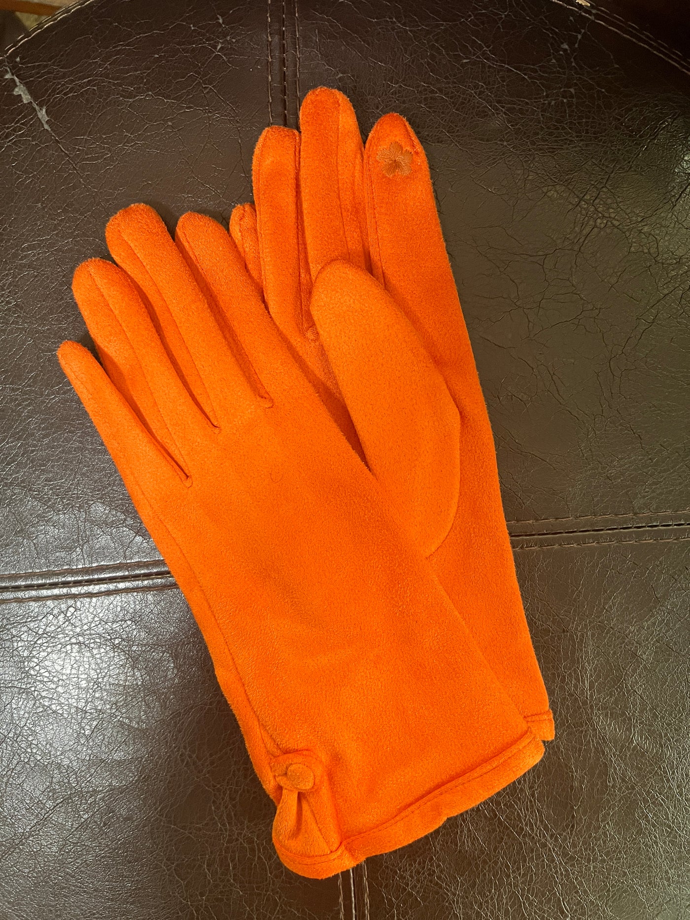Classic Chic Gloves