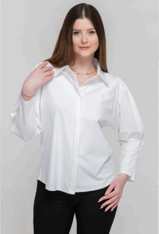 Puff Sleeve Blouse  - Three colours