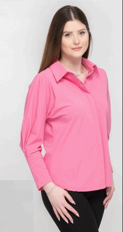 Puff Sleeve Blouse  - Three colours